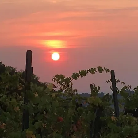 Il Nido Della Poiana E